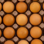 oeuf proteines